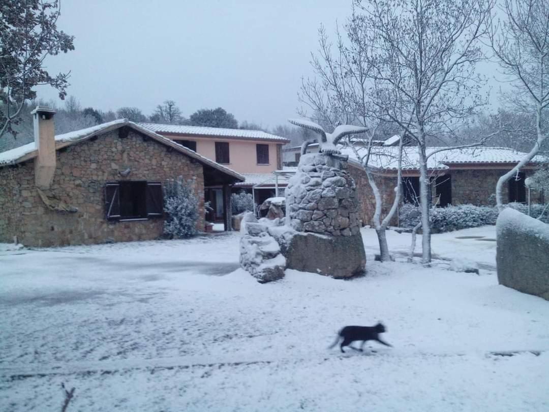 Hotel Il Nido Dell'Aquila Villanova Strisaili ภายนอก รูปภาพ