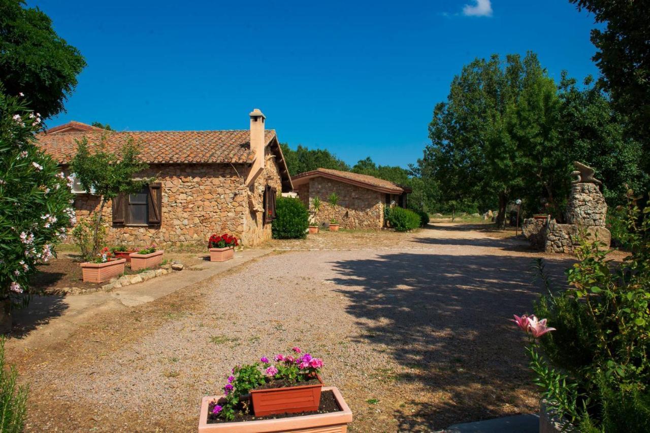 Hotel Il Nido Dell'Aquila Villanova Strisaili ภายนอก รูปภาพ